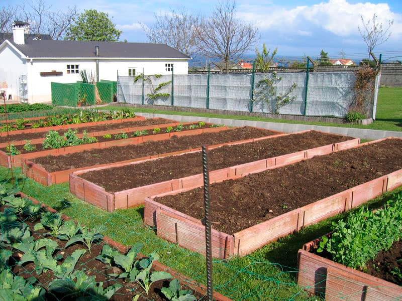 Preparaci n De Camas De Tierra De Cultivo ULTRA HUERTOS