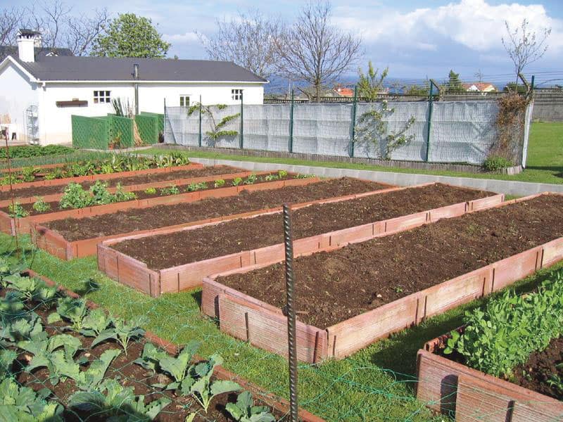 Camas de Tierra para Hortalizas