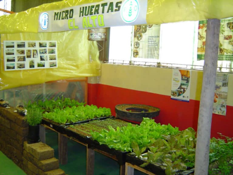 Organización de un huerto de jardín - ULTRA HUERTOS
