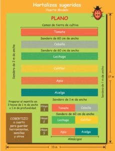 Lee más sobre el artículo Organización de un huerto de jardín