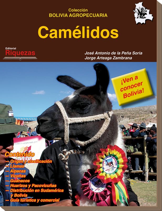 Camélidos Camélidos