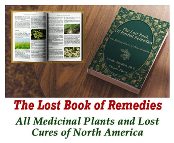 The lost book of remedies