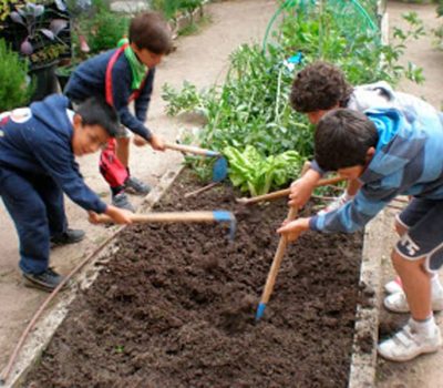 Niños preparando el lugar para sembrar